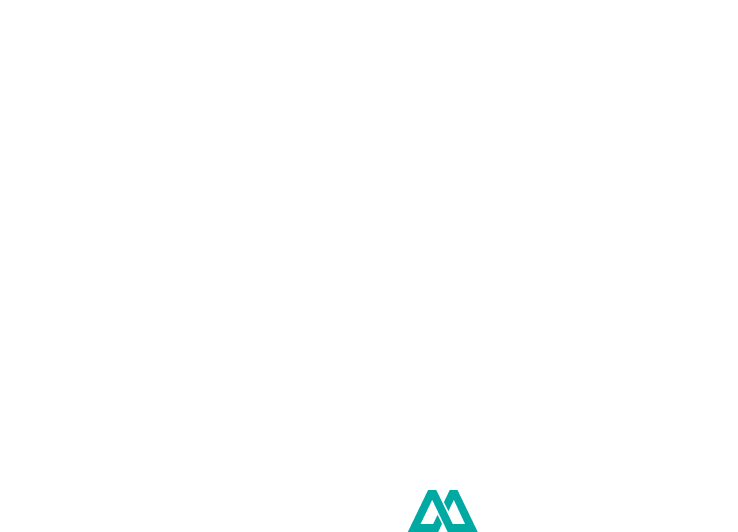 logo footer