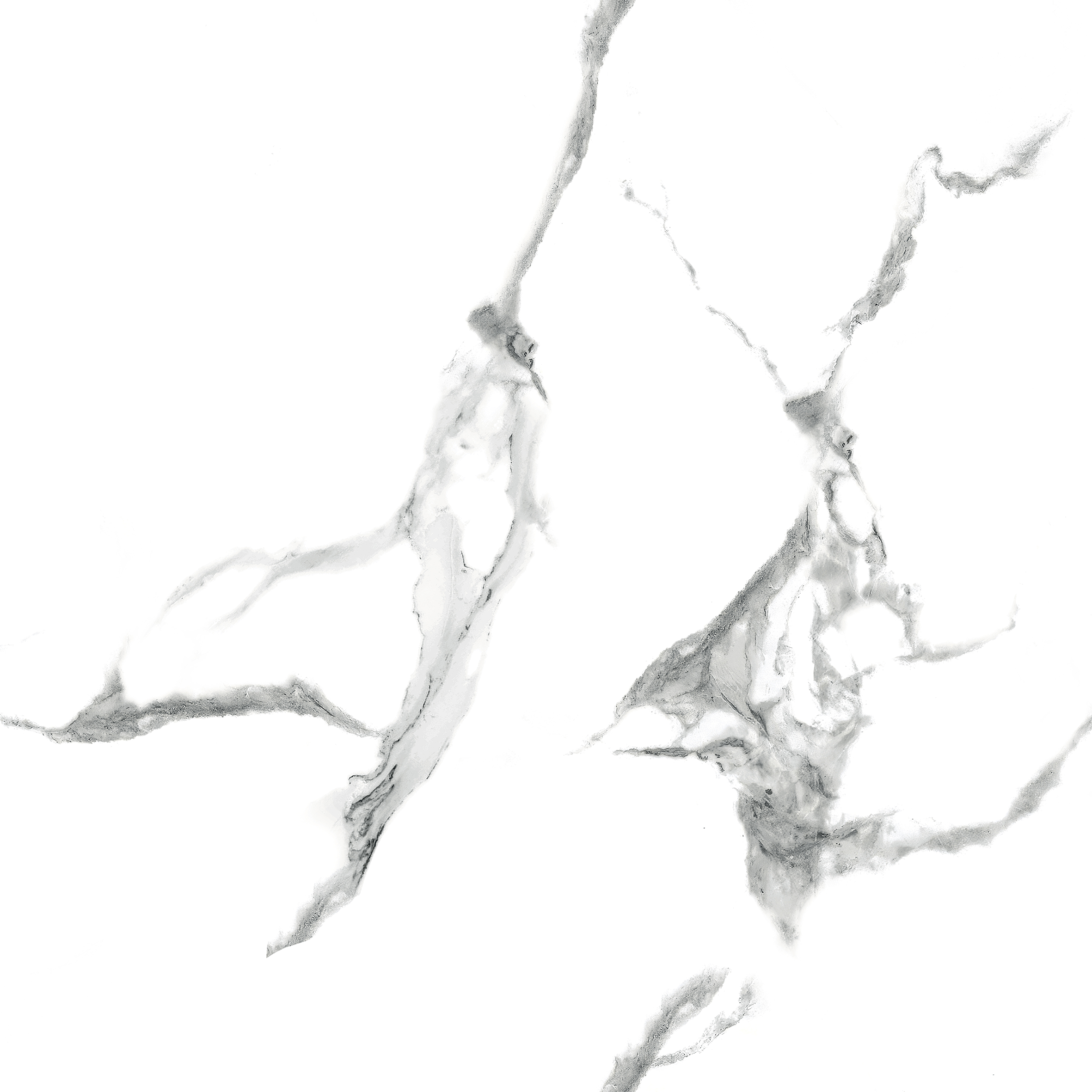 Face image 4